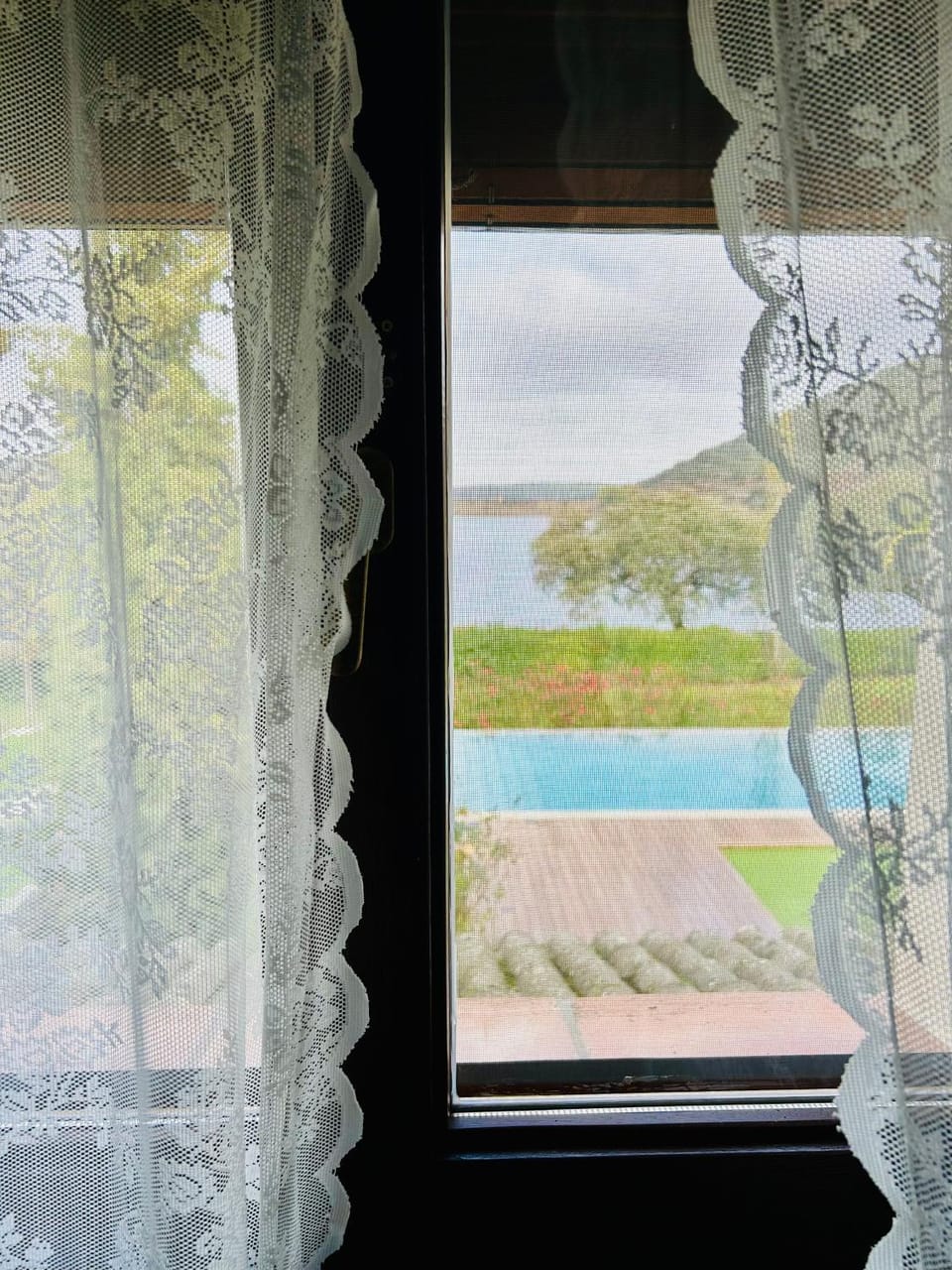 Garden view
