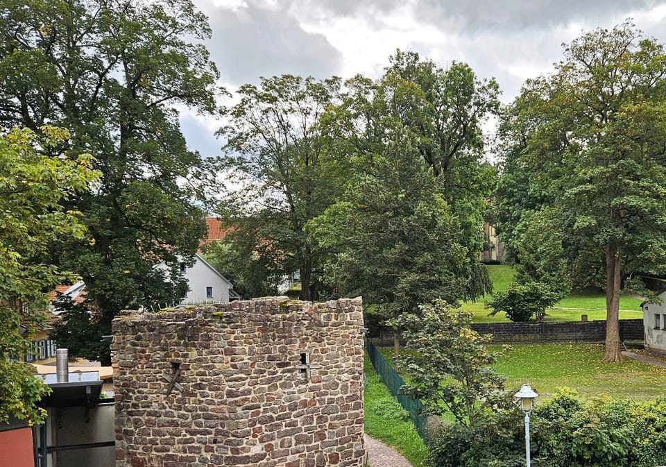 View (from property/room), Area and facilities