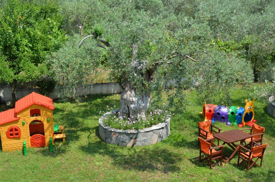 Children play ground