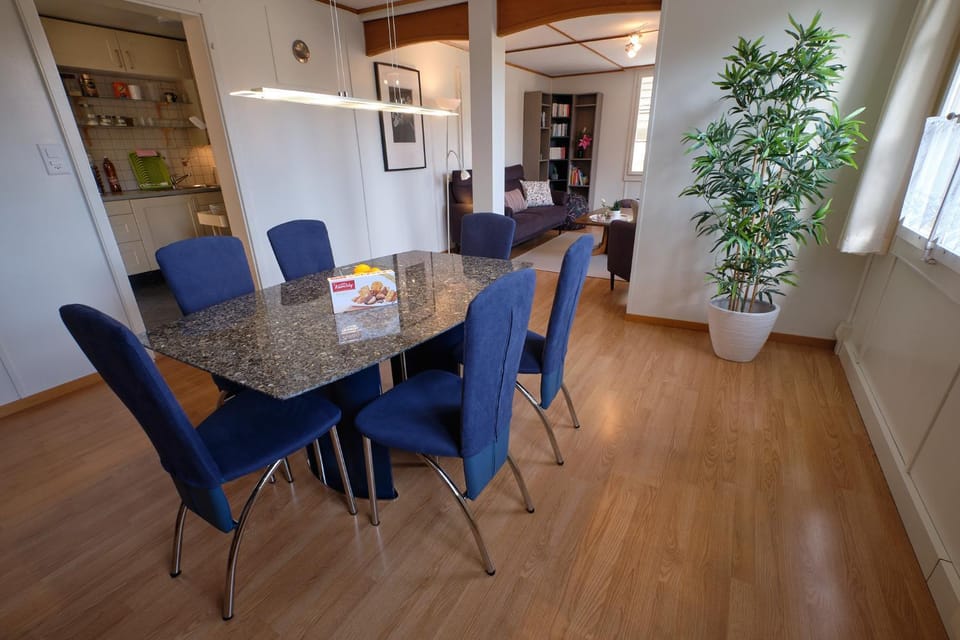 Ferienwohnung Apartment in Canton of Bern (Region)