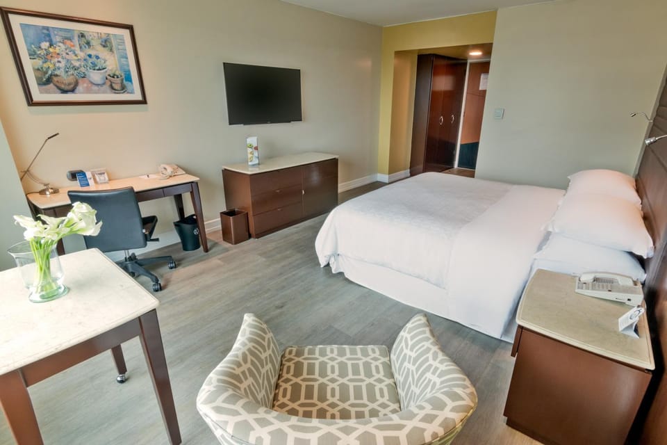 Bed, TV and multimedia, Seating area, fireplace, safe