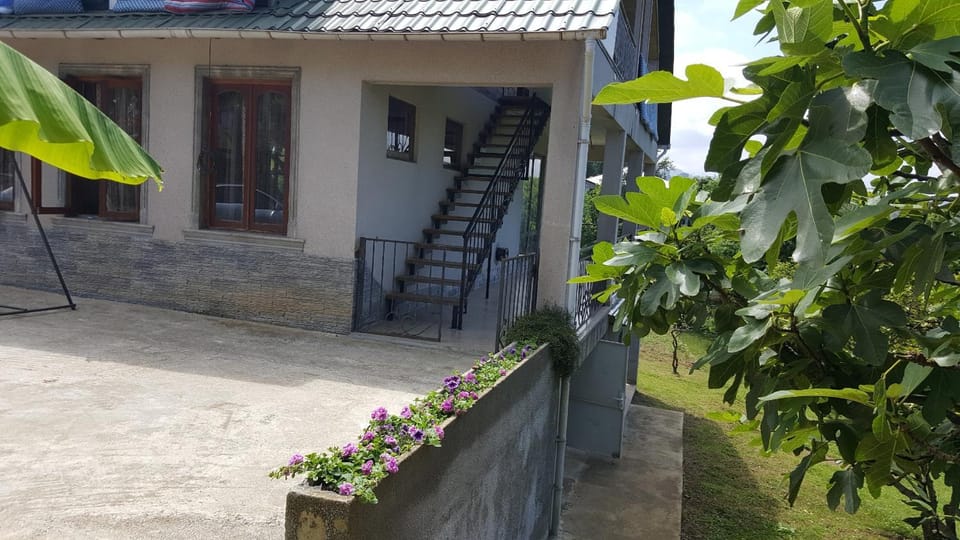 Olga's Home Bed and Breakfast in Batumi