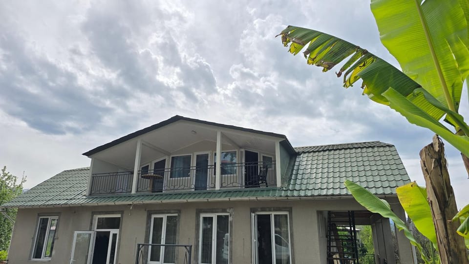 Olga's Home Bed and Breakfast in Batumi