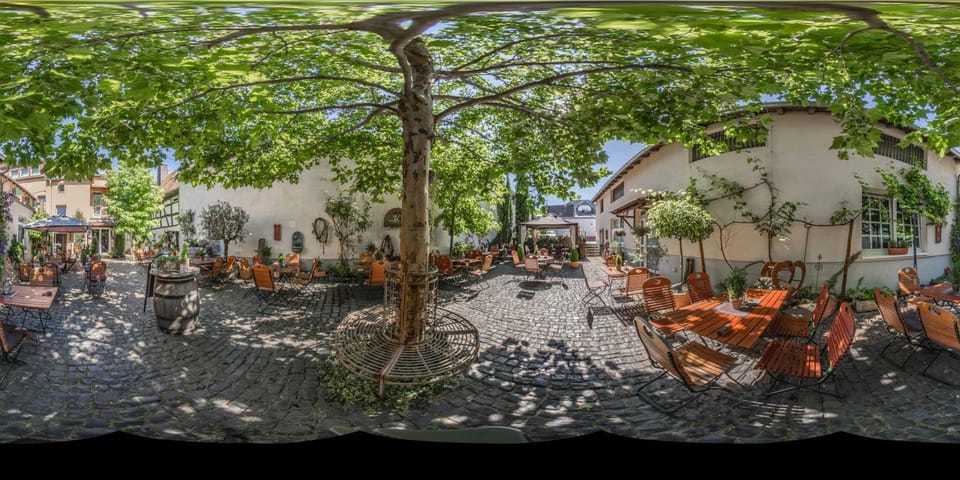 Patio, Summer