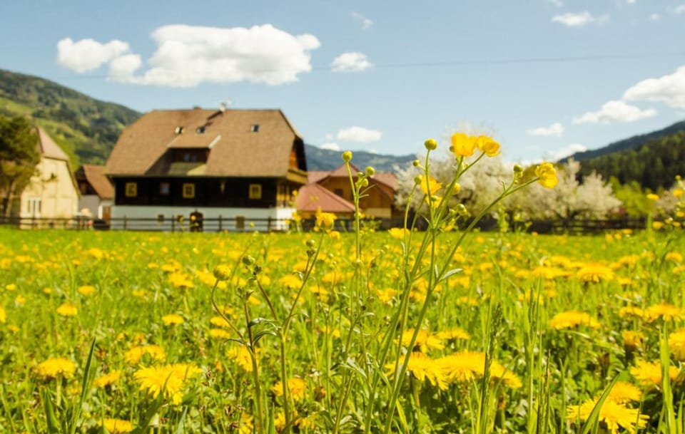 Pension Zechnerhof Farm Stay in Carinthia, Austria