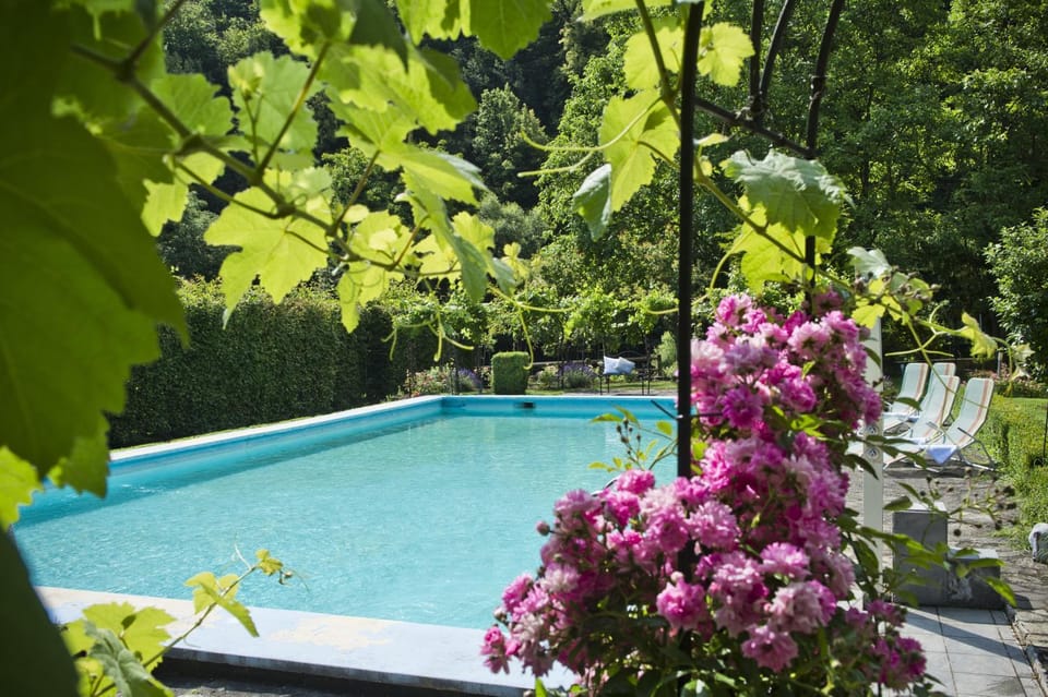 Garden, Balcony/Terrace