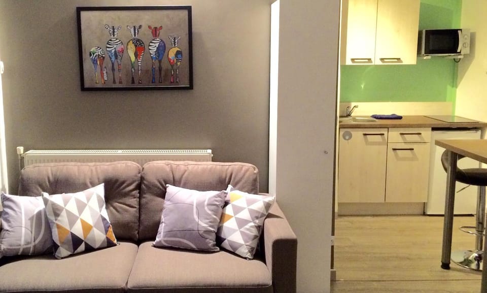 Safari chic Apartment in Lille