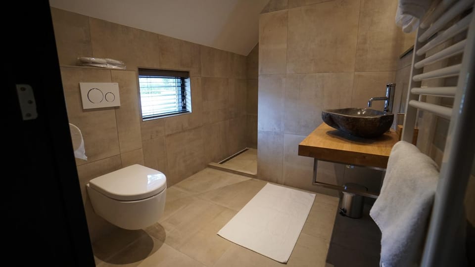Shower, Toilet, Bathroom, Photo of the whole room, Decorative detail