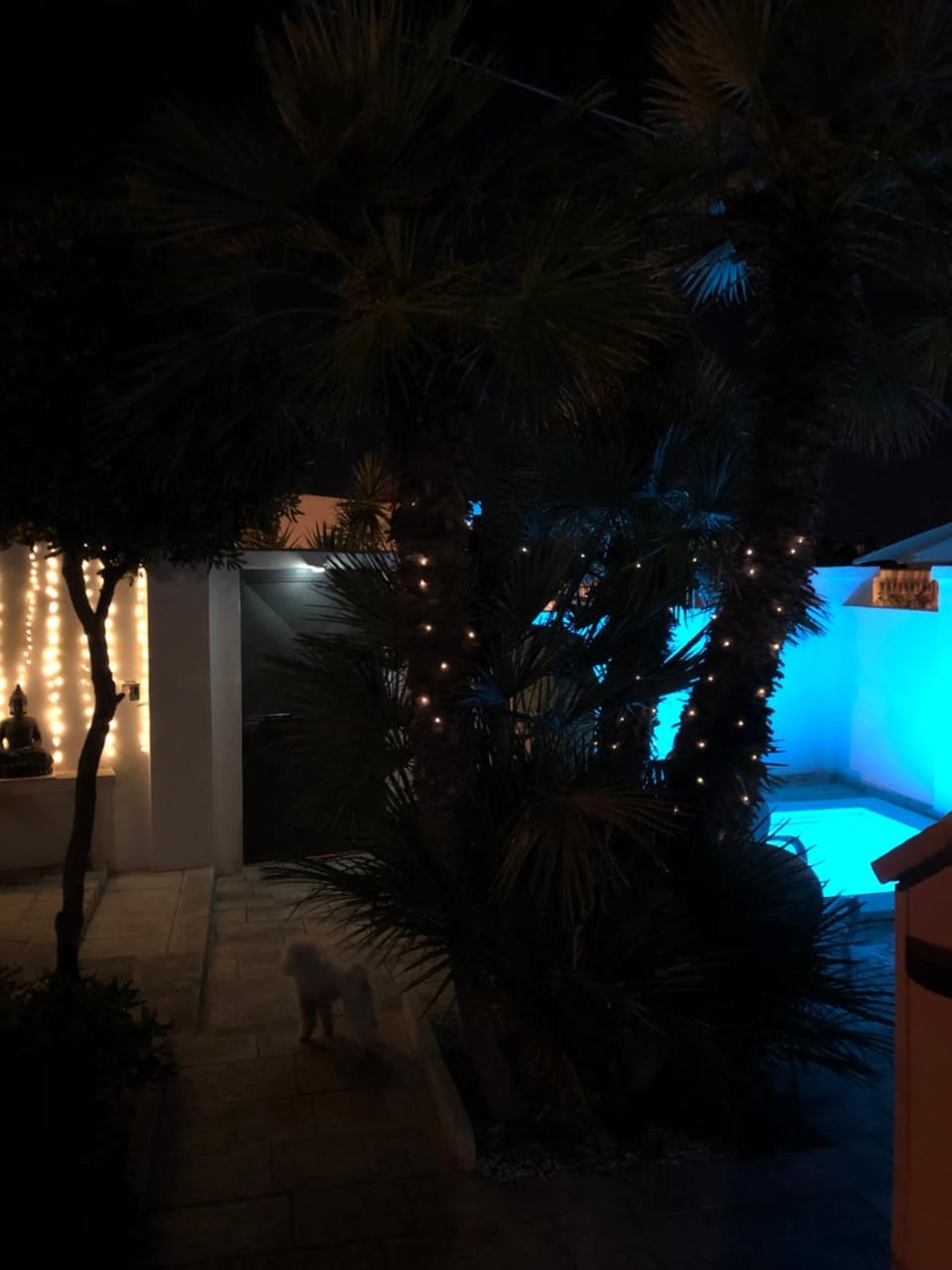 Garden, Garden view, Pool view