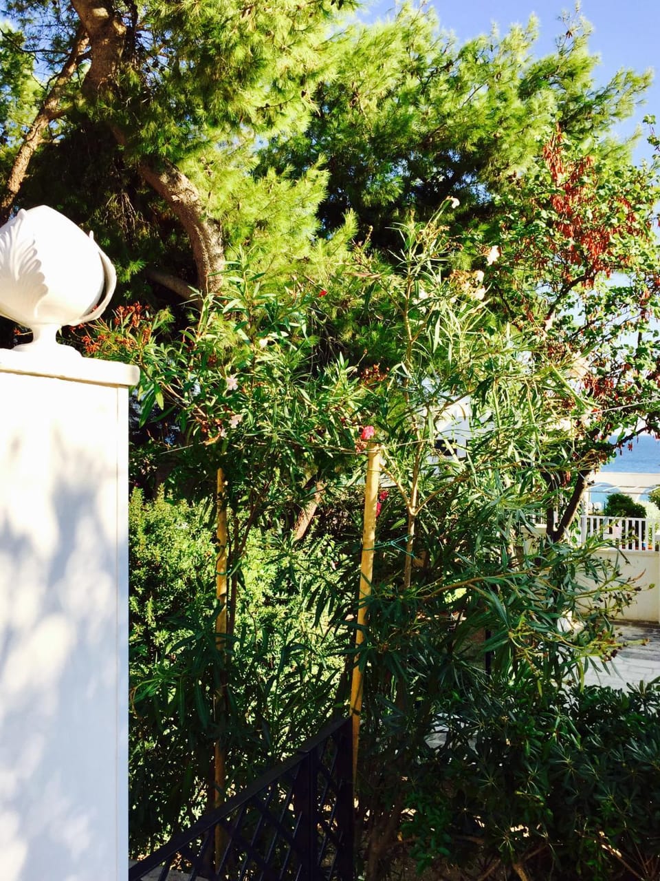 Decorative detail, Garden view, Sea view