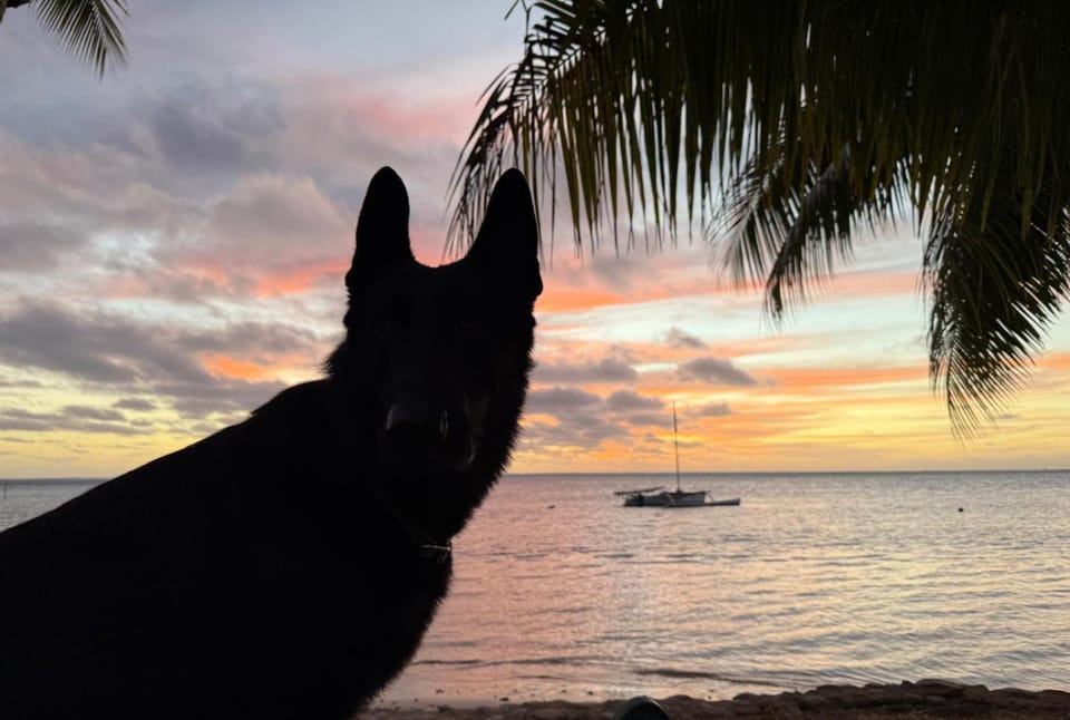 Fare Tokoau Moorea Bed and Breakfast in Moorea-Maiao