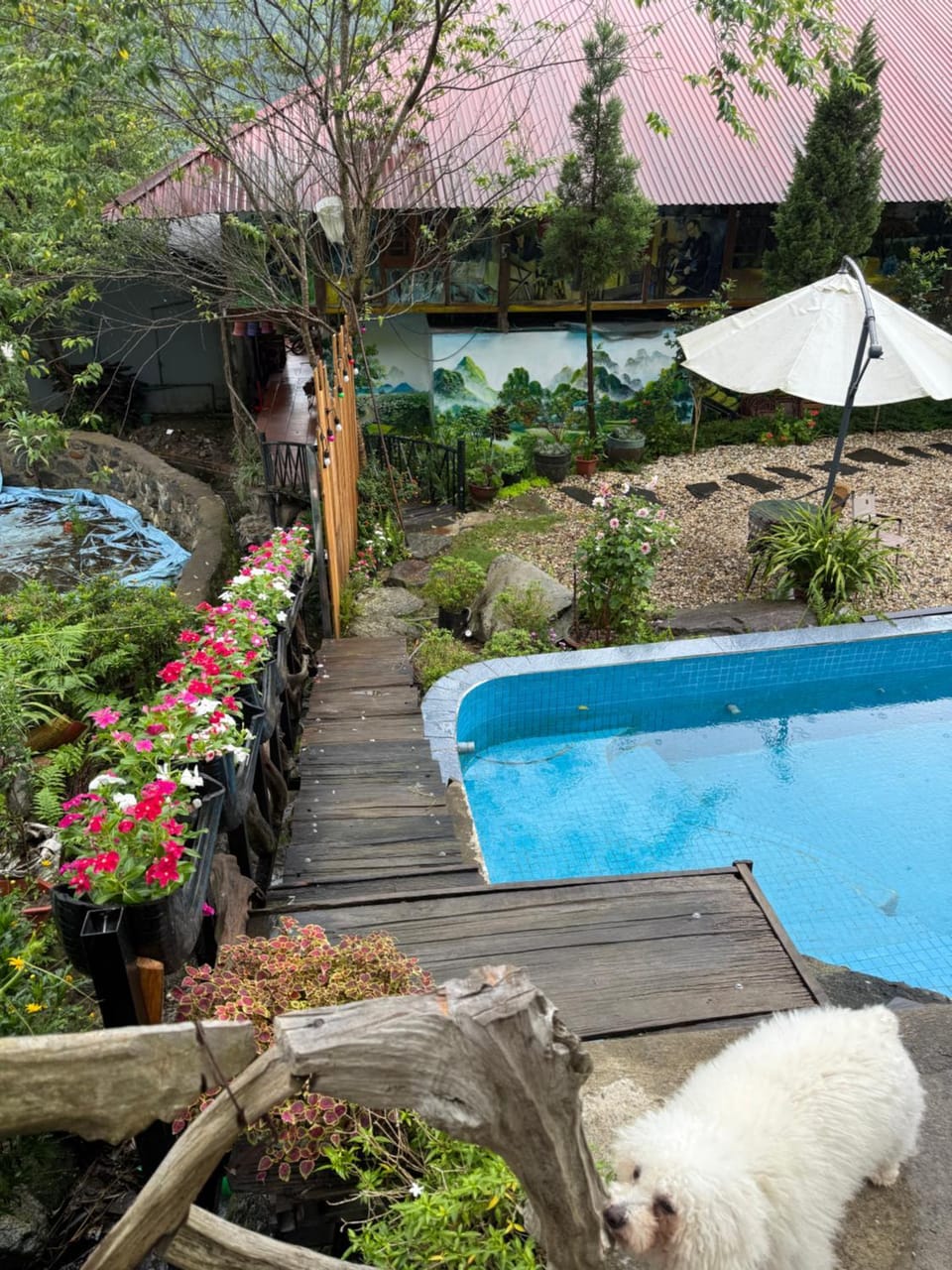 Patio, Children play ground, Garden, Pets