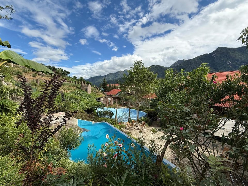 Day, Garden, Garden view, Swimming pool