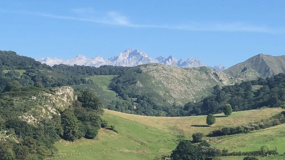 Mountain view