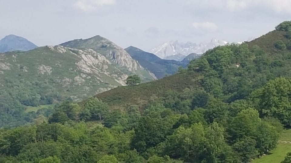 Natural landscape