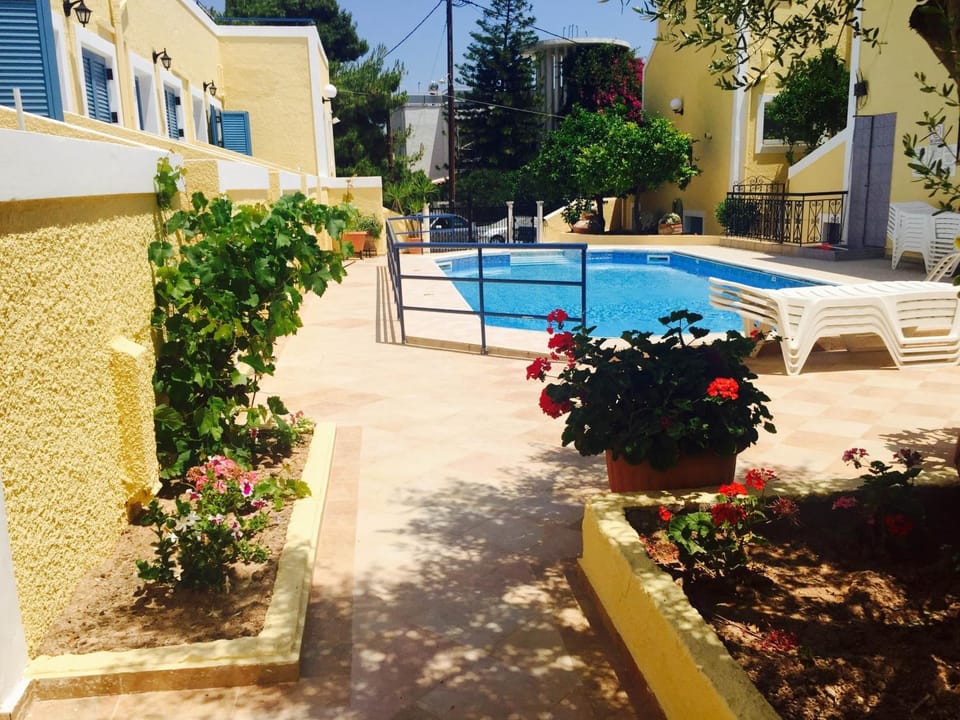 Garden, Pool view, Swimming pool, sunbed