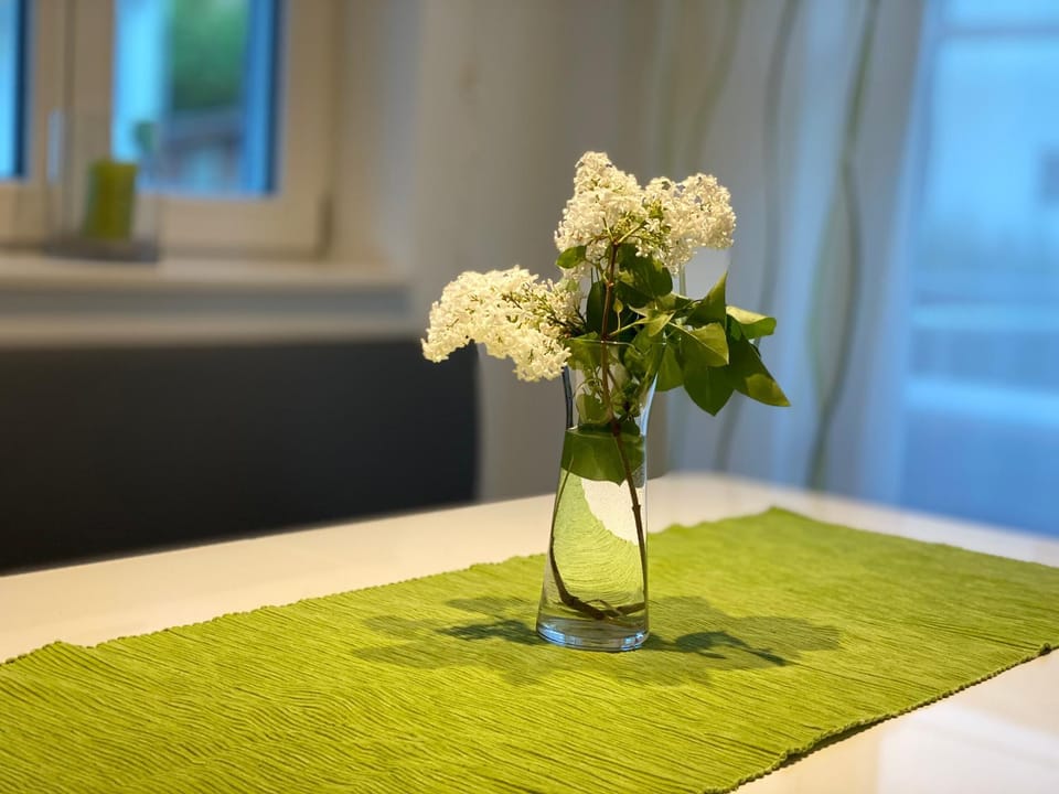 Lea am See - Bio Design Appartement Apartment in Tegernsee