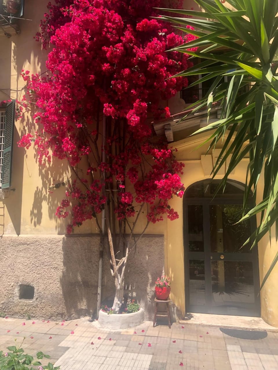 Casa vacanze "il vaticano a 2 passi" Apartment in Rome