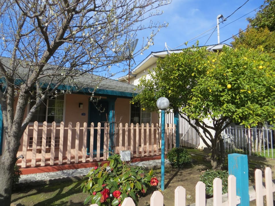 Facade/entrance, Garden