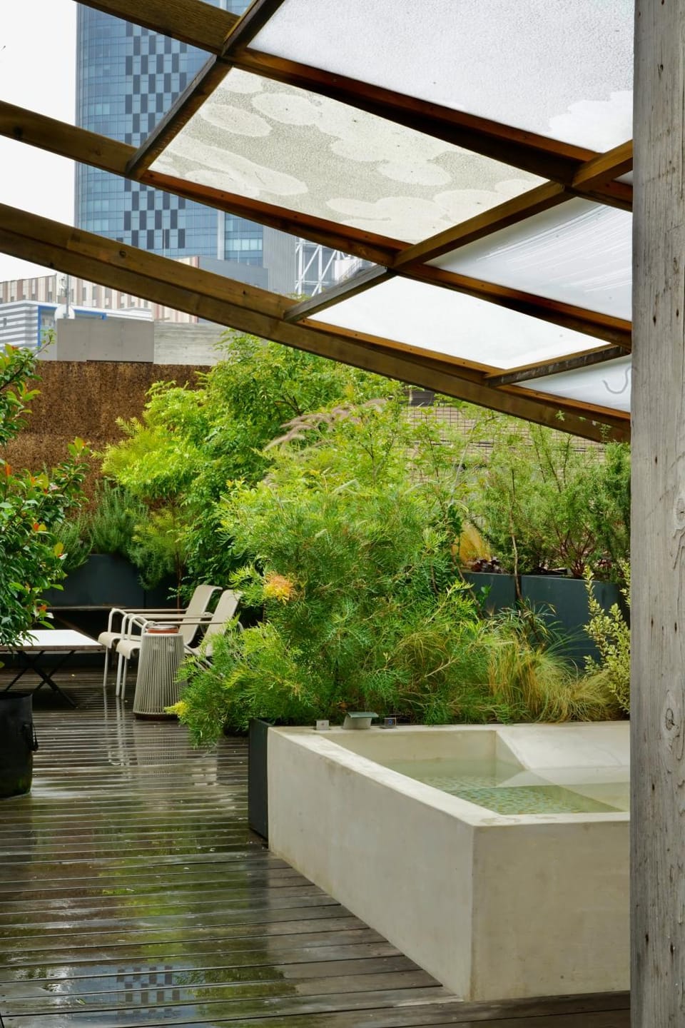 Garden view