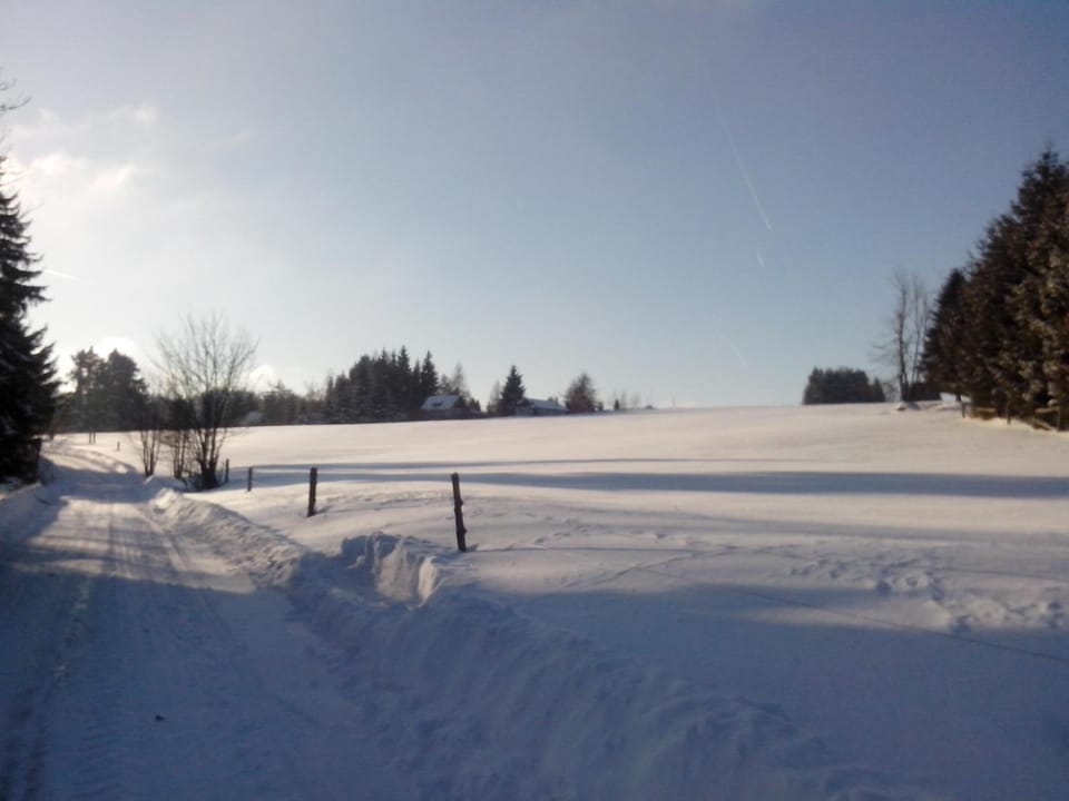 Skiing