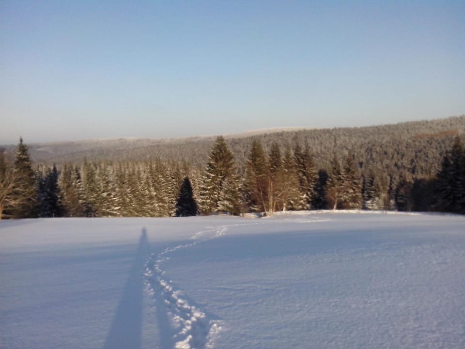 Skiing