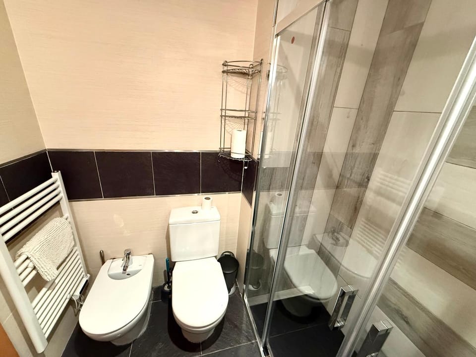 Shower, Toilet, Bathroom, bidet