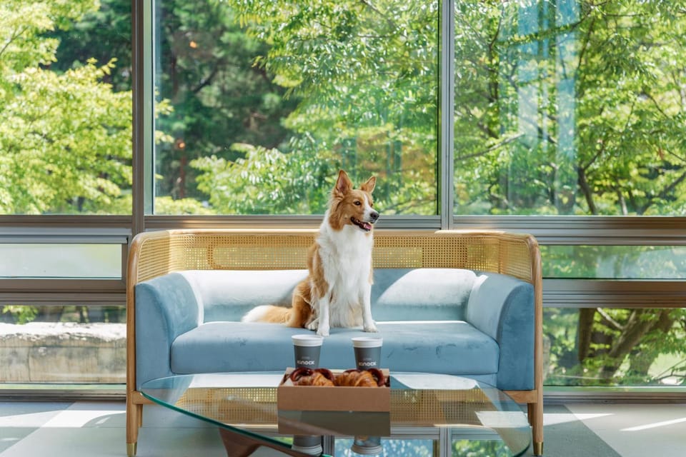 Restaurant/places to eat, Animals, Animals, Pets, pet friendly, pet friendly