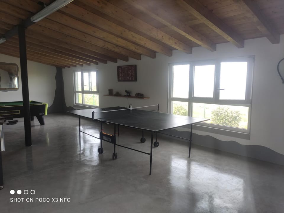 Game Room, Table tennis