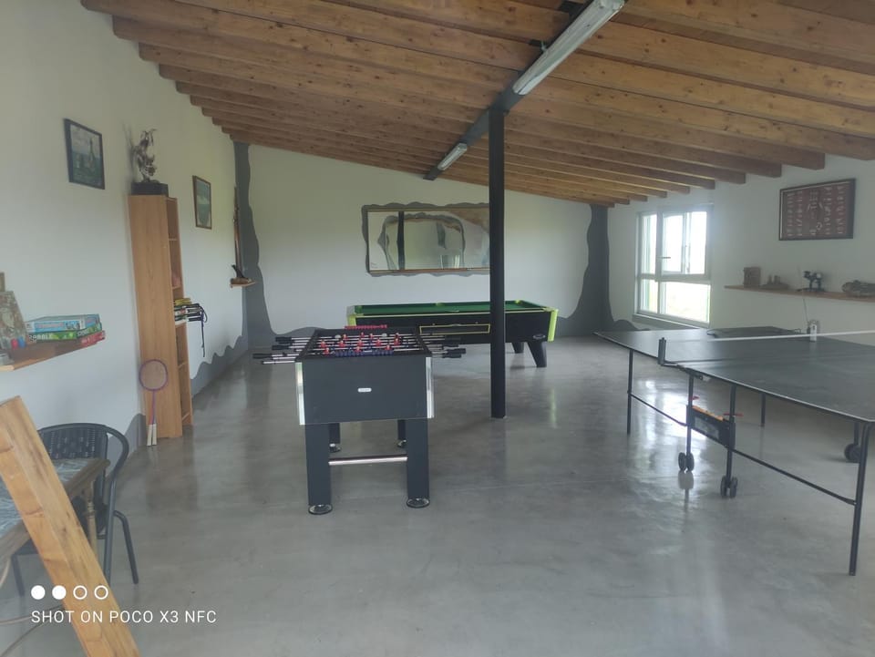 Billiard, Game Room, Table tennis