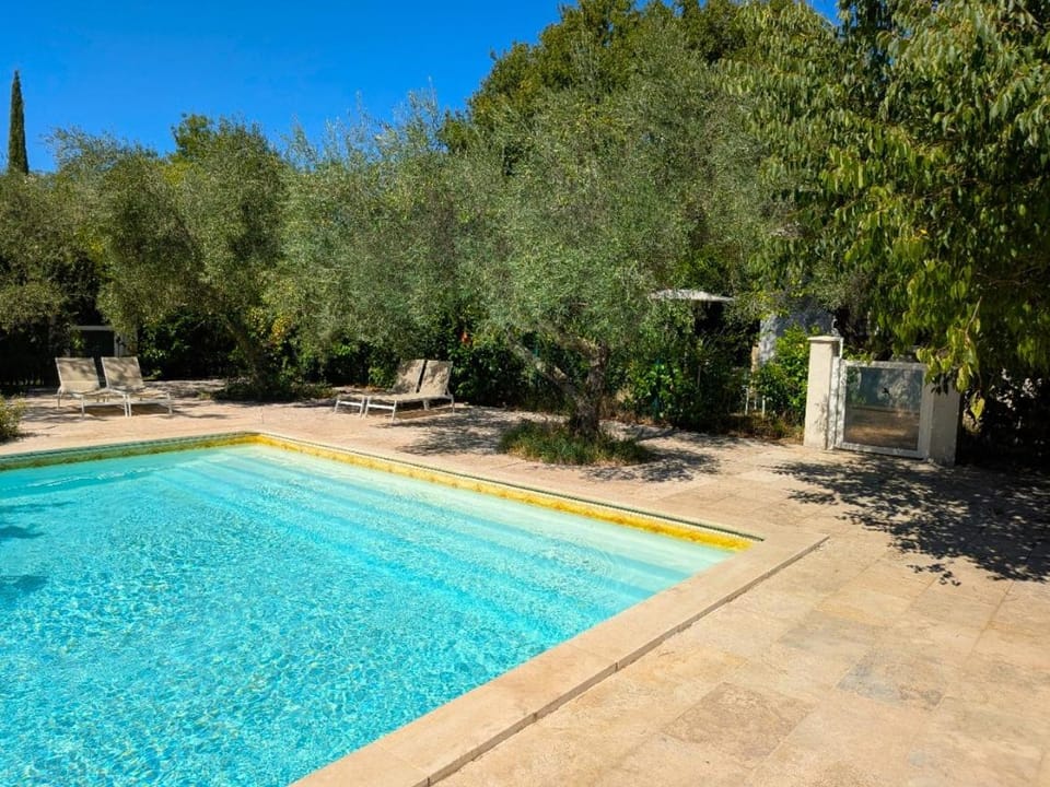 Garden, Solarium, Garden view, Pool view, Swimming pool, sunbed