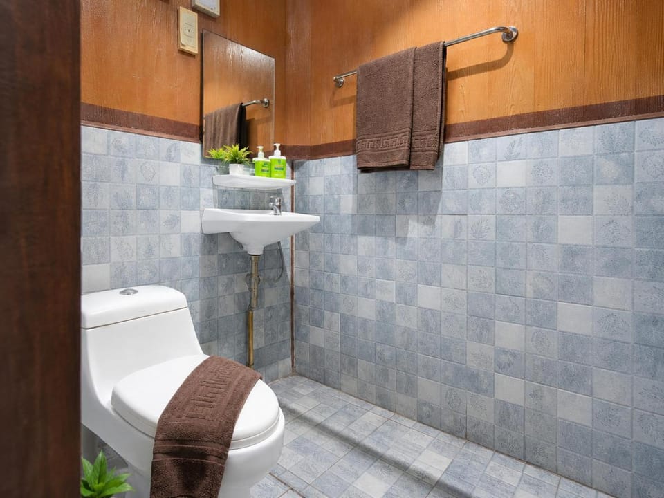 Shower, Toilet, Bathroom, towels