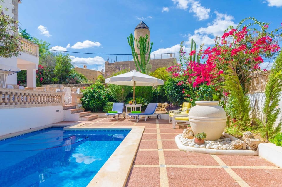 Patio, Other