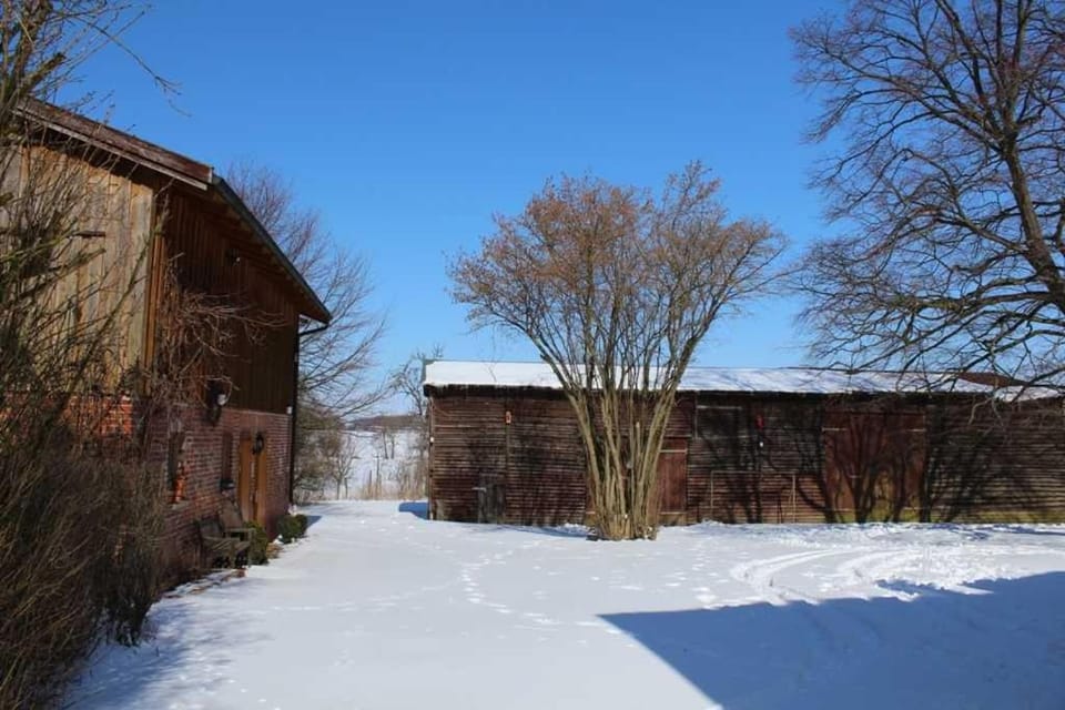 Property building, Natural landscape, Winter