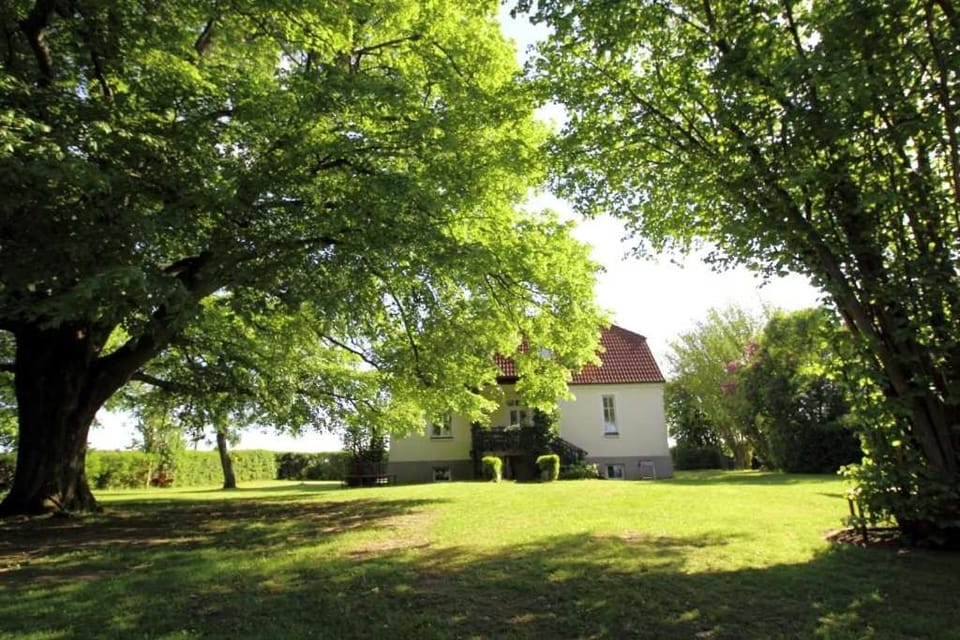 Property building, Garden, Garden view