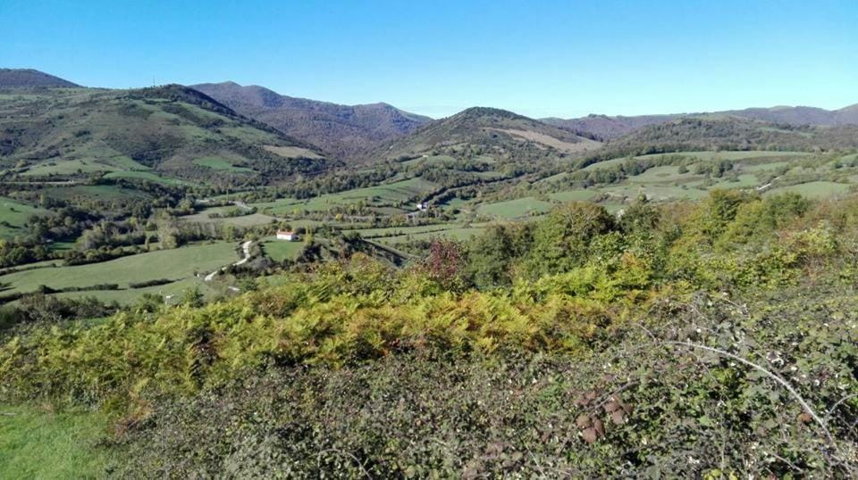 Nearby landmark, Natural landscape