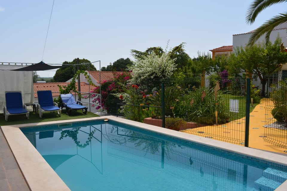 Garden, Swimming pool, sunbed