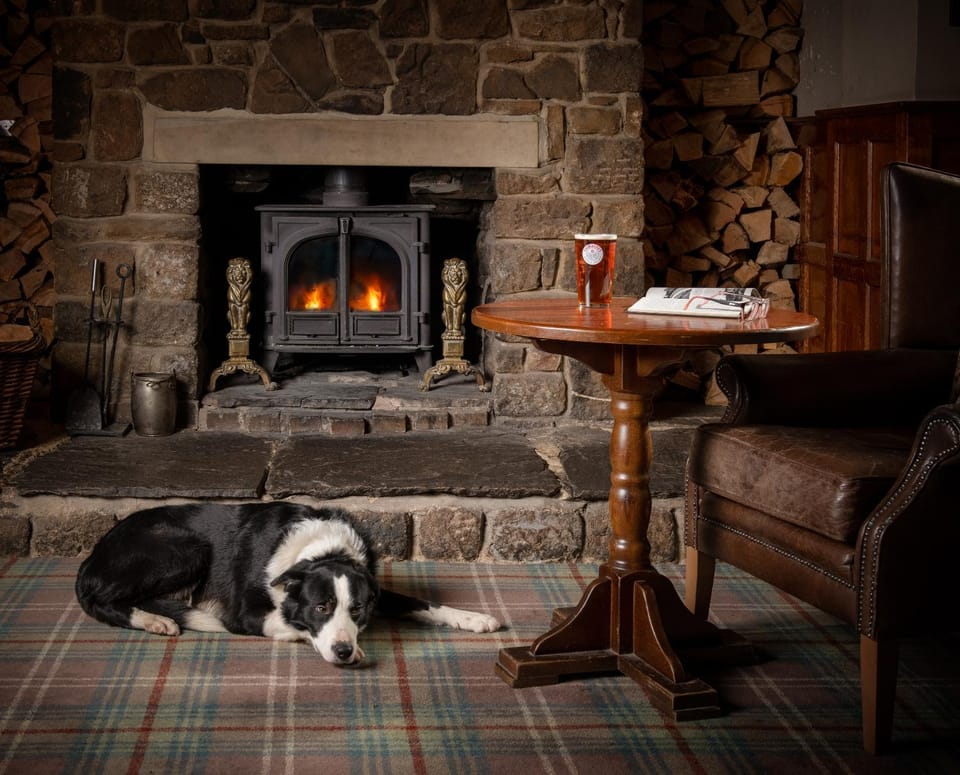 Lounge or bar, Pets, flat iron