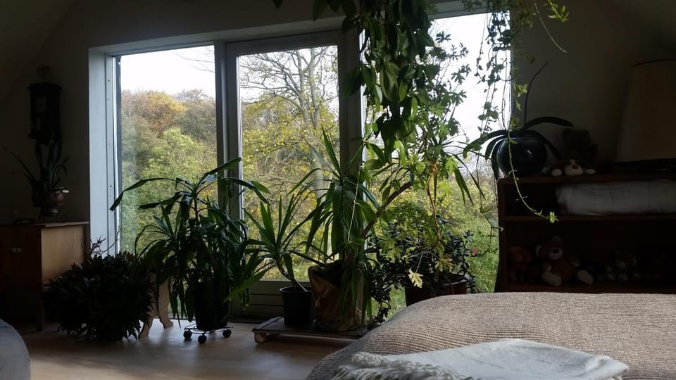 Petersholm Bed and Breakfast in Central Denmark Region