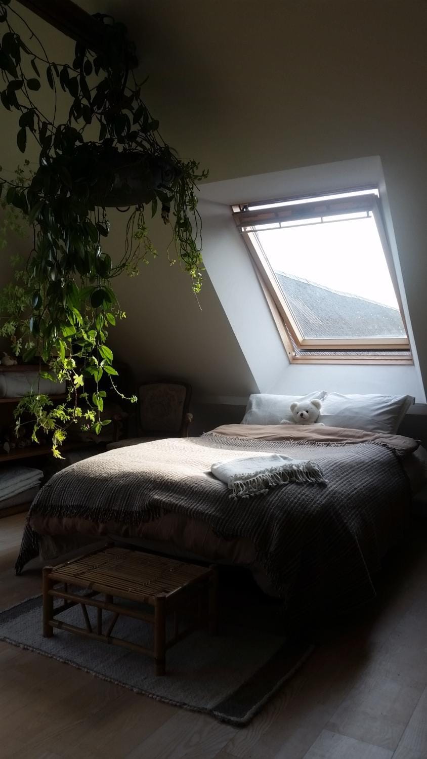 Petersholm Bed and Breakfast in Central Denmark Region