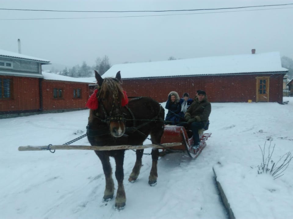 Kosmatska pusanka Bed and Breakfast in Ukraine