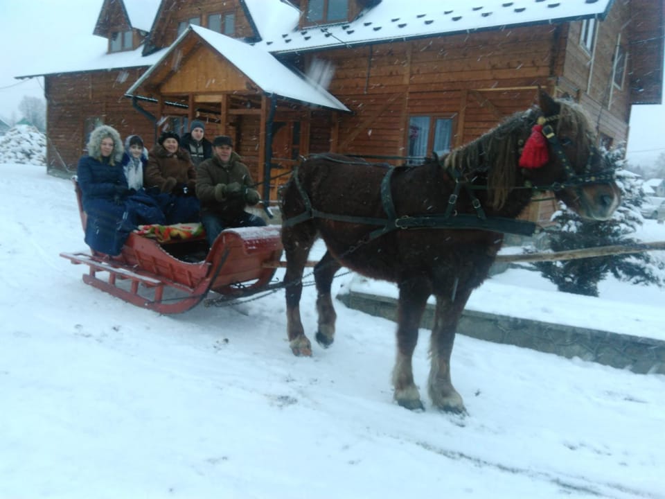 Kosmatska pusanka Bed and Breakfast in Ukraine