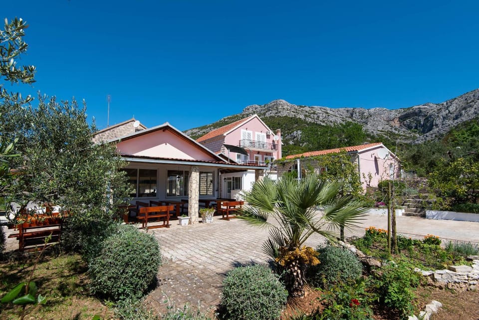 Patio, Garden