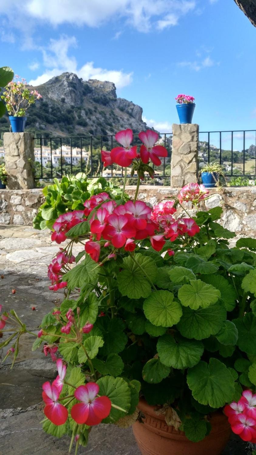 Don Claudio Country House in Grazalema