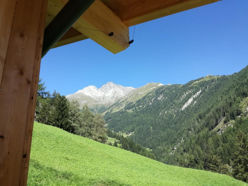 Mooslechnerhof Farm Stay in Salzburgerland