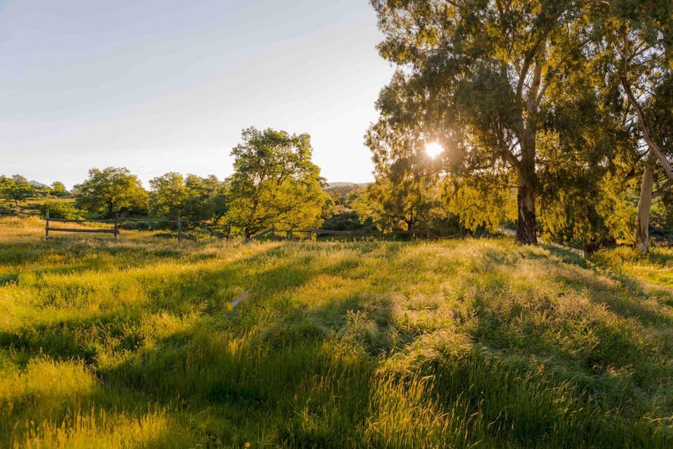 Spring, Off site, Day, Natural landscape, View (from property/room), On site, Landmark view, Sunrise