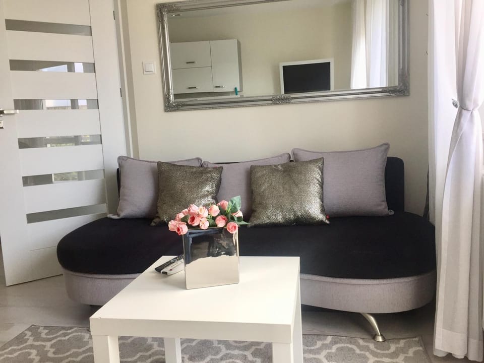DeLux Apartment in Poland