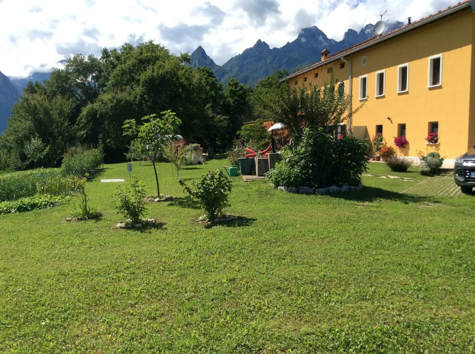Property building, Garden, Garden view