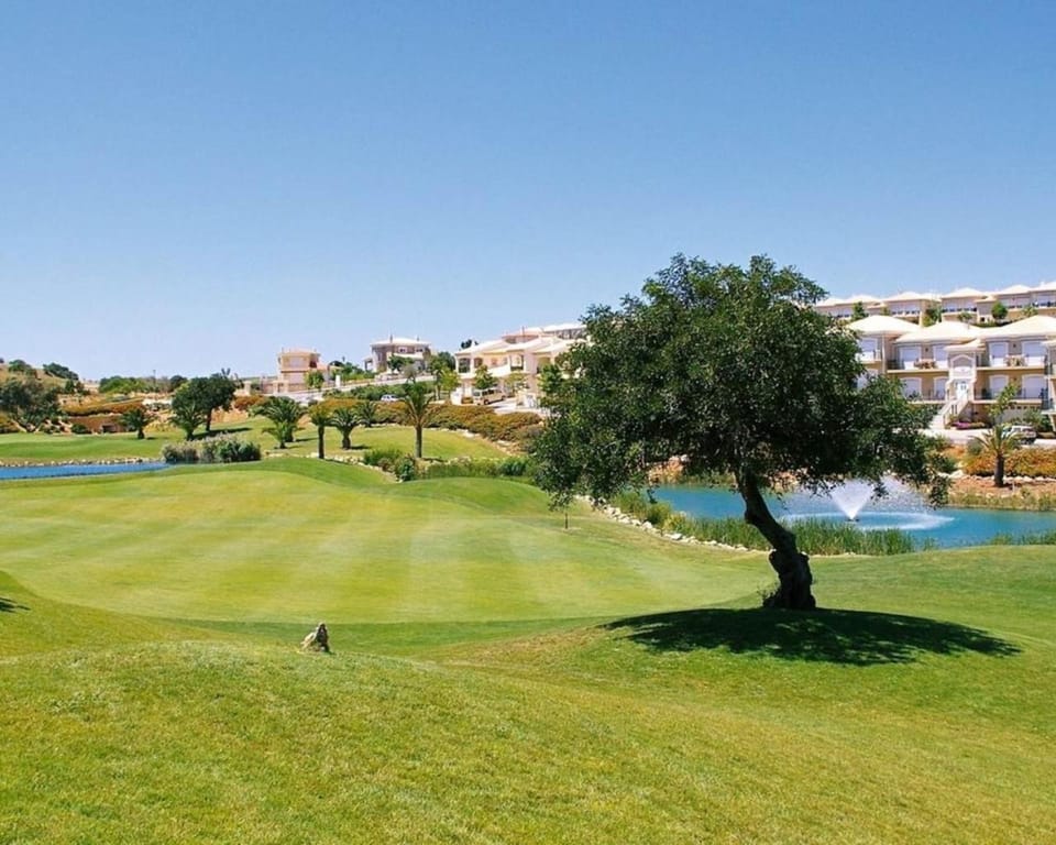 Natural landscape, Golfcourse