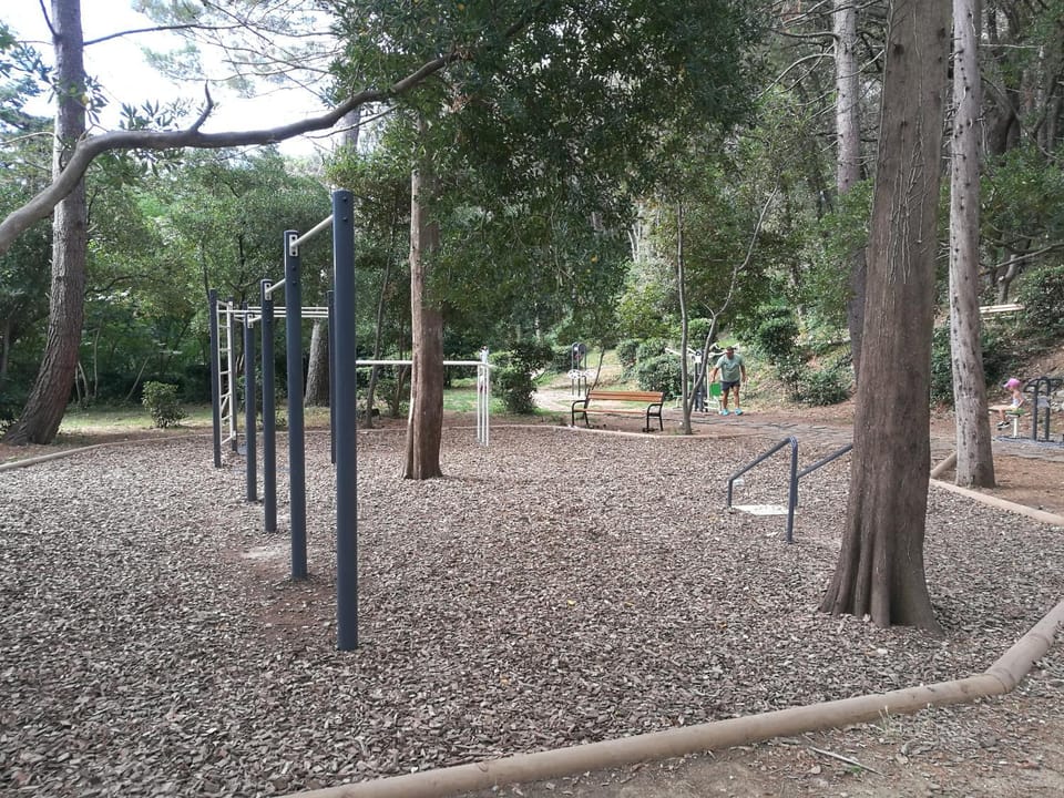 Activities, Children play ground, Table tennis, Hiking, Sports